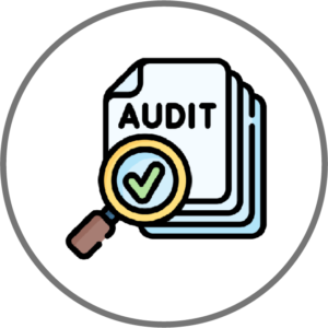 audit icon